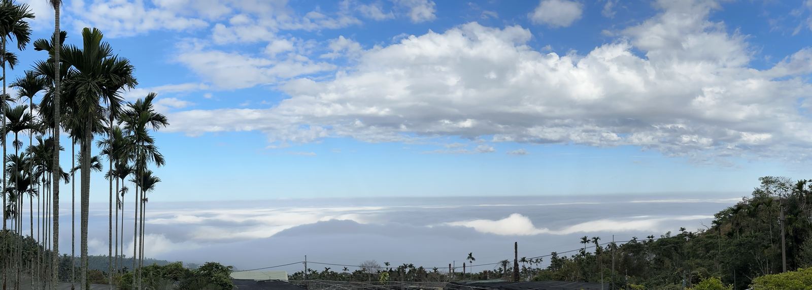 茗鎮咖啡民宿前方遼闊雲海全景