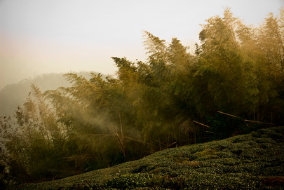 大尖山頂風景